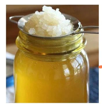 Muda de Kefir de água 