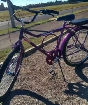Bicicleta - roxa