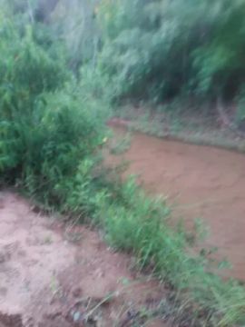 São Pedro das Gaitas/Buritizeiro - Terreno de 60 hc 