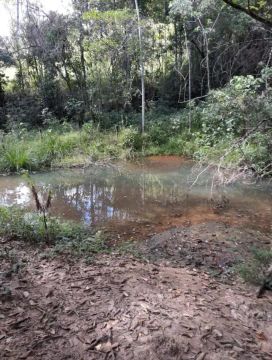 fazenda com 3 lagoas e nascente