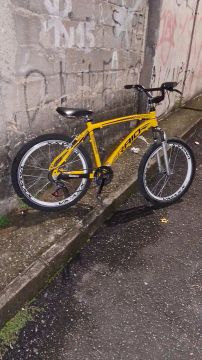 Bike raio aro 24
