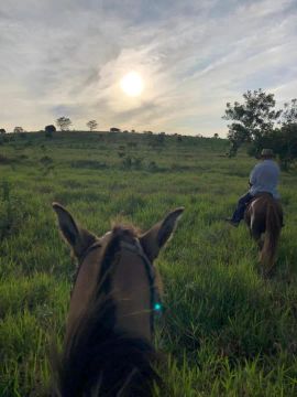 Fazenda em Mundo Novo Bahia 304 TAREFAS