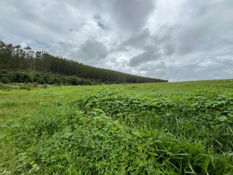 PROPRIEDADE RURAL - GLEBA DE TERRA FAZENDA FAVACHO CRUZILIA