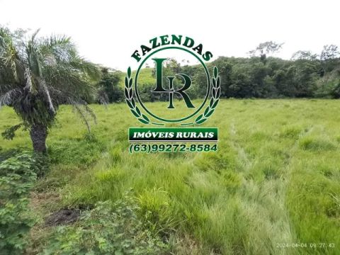 Chácara/Fazenda 11 alqueires  Próximo a Palmas