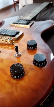 Guitarra Les Paul Cort Z-Custom