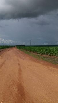2.045 Alq Campos de Júlio -MT 