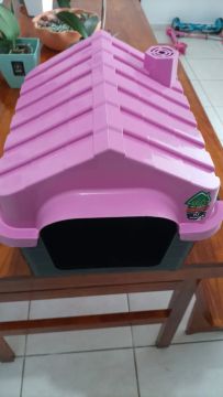 Casinha para Cães Pequenos - Rosa