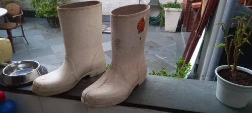 Bota sete leguas fashion preço