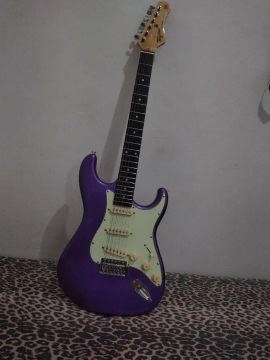 Guitarra Elétrica Stratocaster tagima (tw séries)(tg500) 