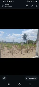 Terreno em lagoa salgada 