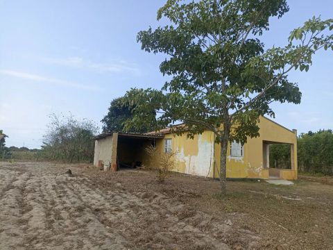 Sítio com casa em ótimo estado