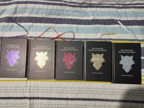 Livros da saga The Witcher do 1 ao 5 semi novos.