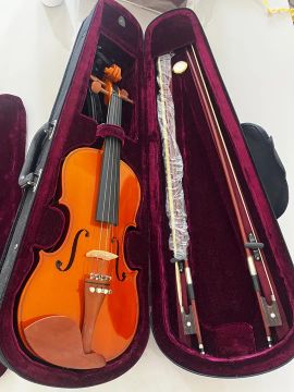 Violino com estojo