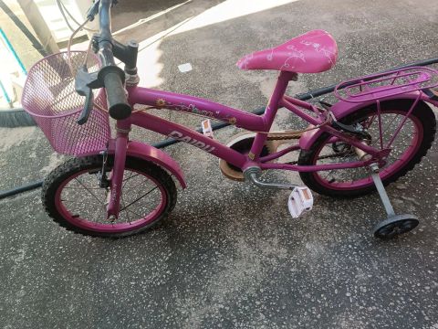 Bicicleta Infantil Rosa 16