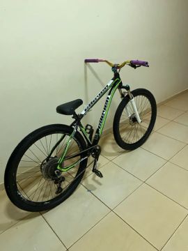 Bike grau 29