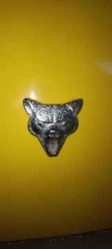 Puma GTS / Puma GTE