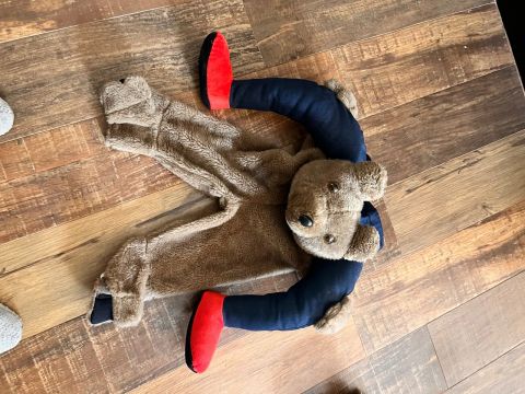 Fantasia urso carregando vc 2 tamanhos 