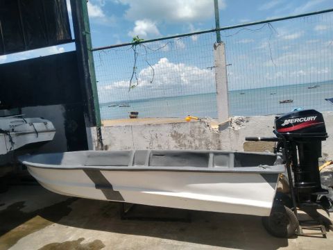 Lancha com motor Mercury 25hp americano