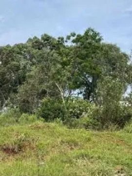 vendo ou troco  terreno no robalo