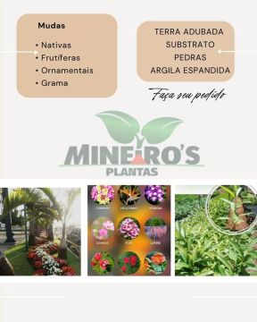 Mudas de plantas diversas para o seu jardim!