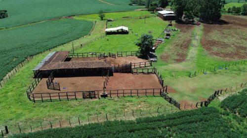 Fazenda em Juvinópolis-PR