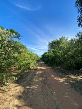 Terreno zona rural