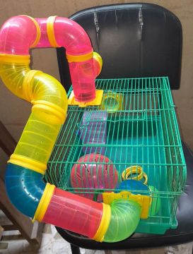 Gaiola hamster + roda 