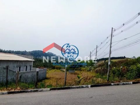 Lote em Rodovia - Vista Alegre - Biritiba Mirim/SP