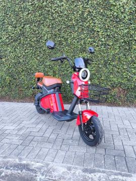 Bicicleta Elétrica 1000W