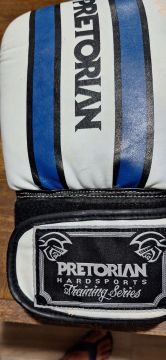 Luvas de Boxe Pretorian - Tamanho M
