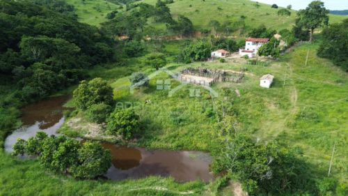 Fazenda com 164 hectares - 7 km de chão, excelente acesso