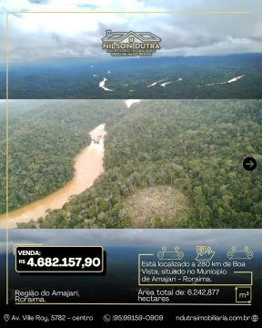 Imóvel Rural de 6.242,877 hectares no Amajari, disponível para venda 