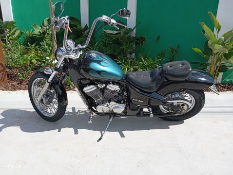 Shadow 600