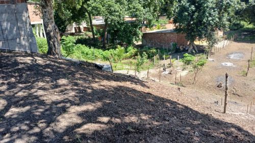 terreno