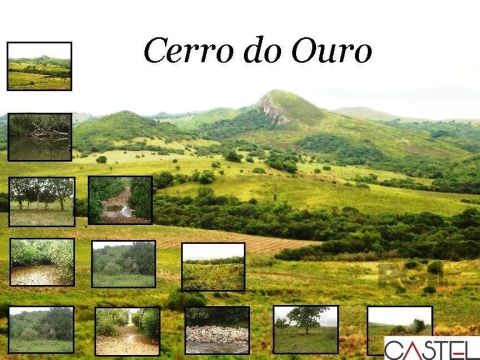 Fazenda/Sítio à Venda - São Gabriel