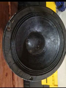 Alto-falante 10 polegadas