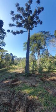 Vende-se terreno Rio das Pedras