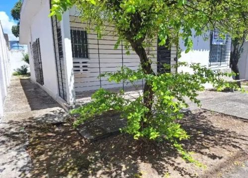 Excelente Casa na Vila Cardeal e Silva