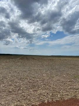 Fazenda 3.8840 hect em Sinop MT abertos 2.210 argila 30% acima R$:1.200 sacos por hect