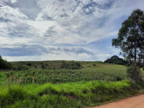 13 Hectares por 170 MIL em Mariana Pimentel - 80 km de POA