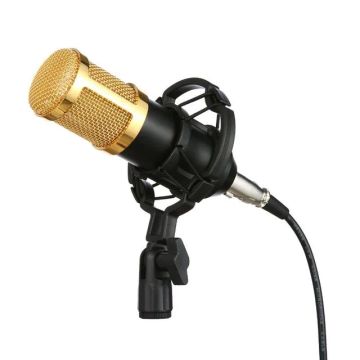Microfone BM 800