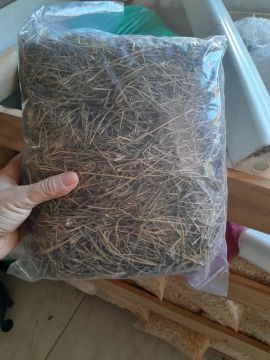 Feno Transvala - para hamster e roedores