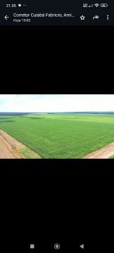 Fazenda arrendamento 1.800hect 720 já planta, 1.020 em pasto em Paranatinga MT.
