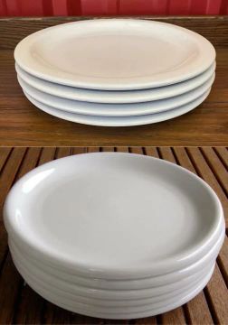 10 pratos USADOS para Buffet/Restaurante