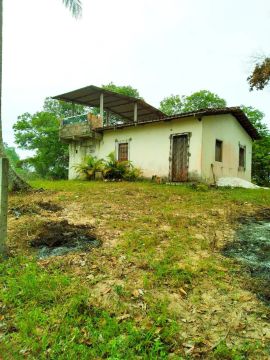 Vendo Sítio em Amado Bahia 