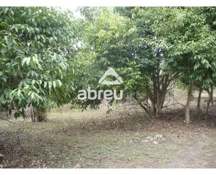Excelente terreno para Sítio em Macaiba