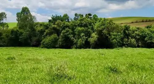 TERRENO CAMPO VERDE