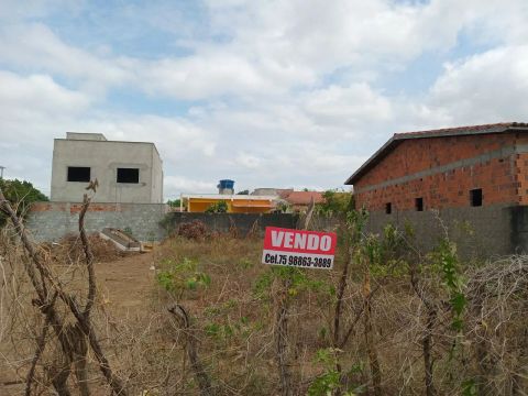 Vendo terreno em Santo Estevão BA