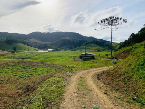 Sítio para Venda em Angelina, TERCEIRA LINHA, 1 dormitório, 1 vaga