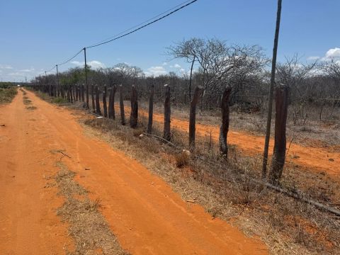 Fazenda Produzindo á Venda
